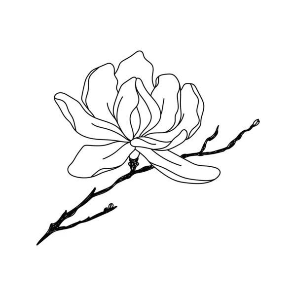 Ilustración Dibujos Animados Vectoriales Con Flor Magnolia Ilustración Vectores Primavera — Archivo Imágenes Vectoriales