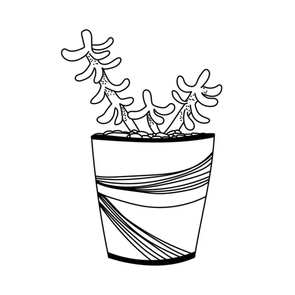 Ilustração Tinta Vetorial Com Planta Caseira Vasos Ilustração Vetor Tinta — Vetor de Stock