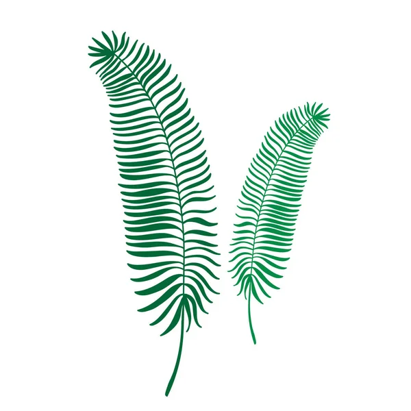 Plochá Vektorová Ilustrace Zelenými Listy Džungle Odchází Tropní Listí Plochá — Stockový vektor