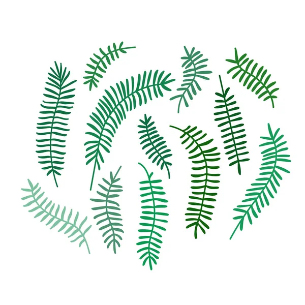 Platte Vector Illustratie Met Groene Bladeren Jungle Bladeren Tropische Bladeren — Stockvector