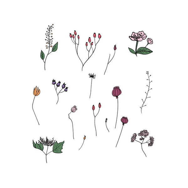 Vektorillustration Mit Einer Reihe Farbiger Blumen Helle Farbe Blumen Auf — Stockvektor