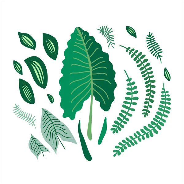 Ilustración Vectorial Plana Con Hojas Verdes Hojas Selva Hojas Tropicales — Vector de stock