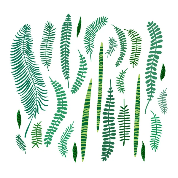 Ilustración Vectorial Plana Con Hojas Verdes Hojas Selva Hojas Tropicales — Archivo Imágenes Vectoriales