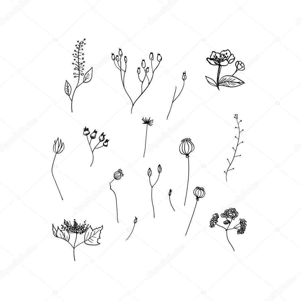 Vector illustration with set of ink flowers. Black ink flowers on white background