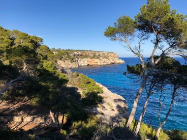 Playa de Formentor Cala Pi de la Posada, Cap Formentor 'da güzel plaj, Palma Mallorca, İspanya