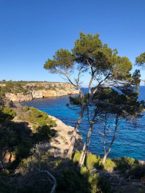 Playa de Formentor Cala Pi de la Posada, Cap Formentor 'da güzel plaj, Palma Mallorca, İspanya