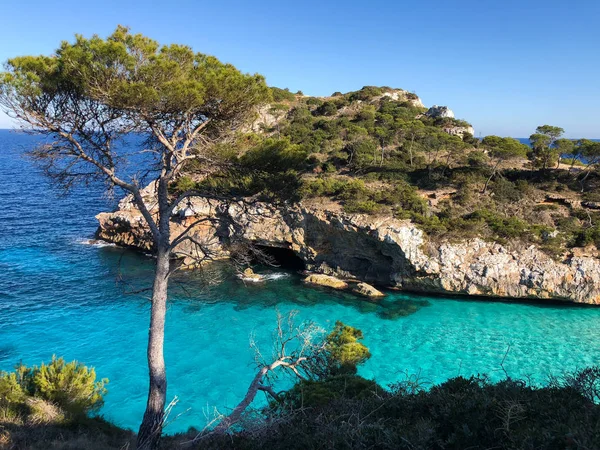 Playa de Formentor Cala Pi de la Posada, hermosa playa en Cap Formentor, Palma Mallorca, España — Foto de Stock