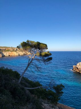 Playa de Formentor Cala Pi de la Posada, Cap Formentor 'da güzel plaj, Palma Mallorca, İspanya