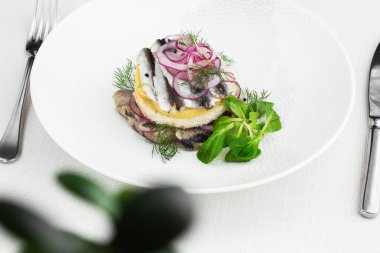 Aperatif yemek, tuzlanmış ringa balığı, tereyağı ve beyaz tabakta kırmızı soğan. Seçici odaklanma. Yukarıdan yatay görüş, üst çekim. Beyaz arkaplan.