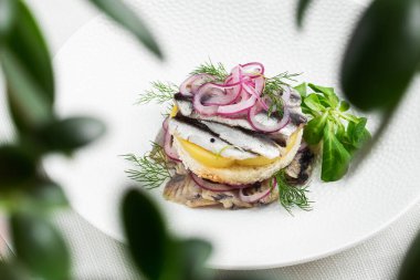 Aperatif yemek, tuzlanmış ringa balığı, tereyağı ve beyaz tabakta kırmızı soğan. Seçici odaklanma. Yukarıdan yatay görüş, üst çekim. Beyaz arkaplan.