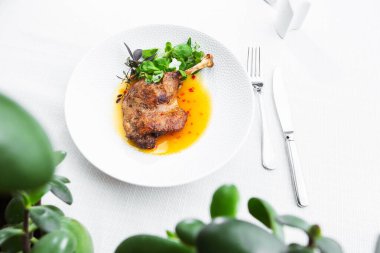 Mango soslu ördek budu, salata ve beyaz tabakta kırmızı biber, yakın plan. Yukarıdan yatay görüş, üst çekim. Beyaz arkaplan.