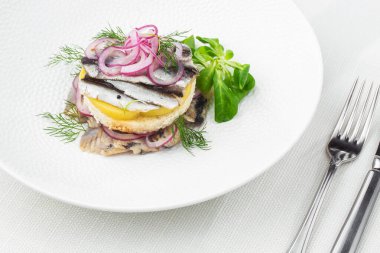 Aperatif yemek, tuzlanmış ringa balığı, tereyağı ve beyaz tabakta kırmızı soğan. Seçici odaklanma. Yukarıdan yatay görüş, üst çekim. Beyaz arkaplan.