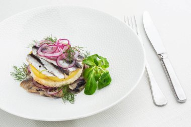 Aperatif yemek, tuzlanmış ringa balığı, tereyağı ve beyaz tabakta kırmızı soğan. Seçici odaklanma. Yukarıdan yatay görüş, üst çekim. Beyaz arkaplan.