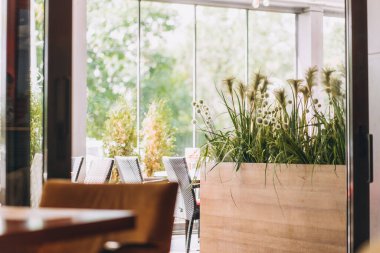 Modern tarzda, dokulu duvarları ve parketi olan bir restoran. Masalı gri tezgahlar, dekoratif ahşap ve bitkiler var. Restoran konsepti