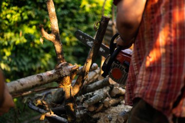 Elektrikli testere. Tahta testeresi hareket halindeyken yakın çekim, talaş yana doğru uçar. Kavram ağaçları devirmektir. Tahta keserken elektrikli testere. Testereyle odun kesen adam, toz ve hareketler. Yaşlı adam.
