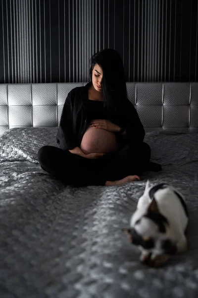 Siyah elbiseli hamile bir kadın köpeğiyle yatakta yatıyor. Hamilelik, hamilelik, hazırlık ve beklenti konsepti. Koca göbekli mutlu hamile kadına yakın çekim. . — Stok fotoğraf