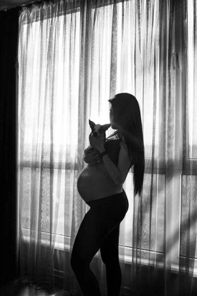 身穿黑色衣服的孕妇在黑暗的背景下把狗抱在肚子上.怀孕、分娩、准备和期待的概念- -大肚大肚皮的快乐孕妇在窗口闭锁. — 图库照片