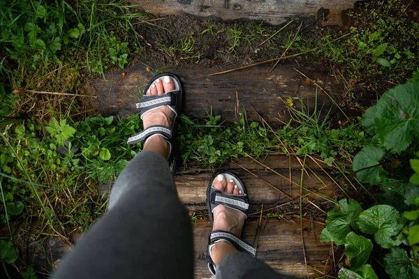 Wandern.Frauenbeine mit Sandalen auf dem Bergweg, Blick von oben. Steine und grünes Gras. Natur- und Ruhekonzept. Horizontal — Stockfoto