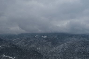 Dağ ormanındaki hava aracı görüntüsü. Kış manzarası. Karlı firavun ve çam ağaçları. Kış ormanı manzaralı karlı bir ağaç dalı. Kış manzarası, orman, karla kaplı ağaçlar..
