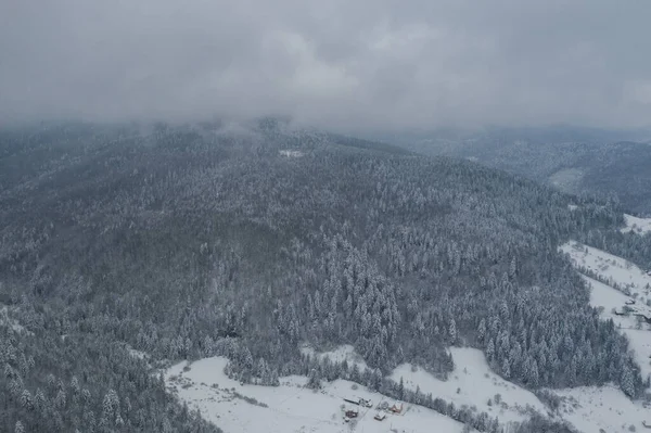 Aerial Drone View In Mountain Forest Winter Landscape Snowy Fir And Pine Trees Snowy Tree Branch In A View Of The Winter Forest Winter Landscape Forest Trees Covered With Frost Snow Aerial Drone View In Mountain Forest Winter Landscape Snowy Fir And Pine Trees Snowy Tree Branch In A View Of The Winter Forest Winter Landscape Forest Trees Covered With Frost Snow