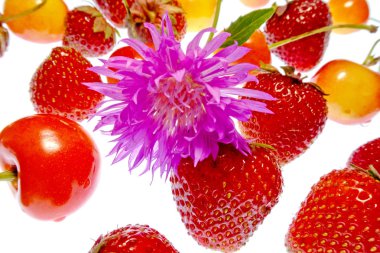 beyaz bir arka plan üzerinde parlak renkli meyve