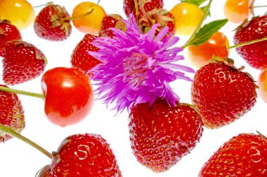 beyaz bir arka plan üzerinde parlak renkli meyve