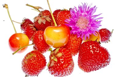 beyaz bir arka plan üzerinde parlak renkli meyve