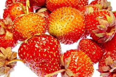 beyaz bir arka plan üzerinde parlak renkli meyve