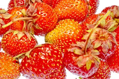 beyaz bir arka plan üzerinde parlak renkli meyve