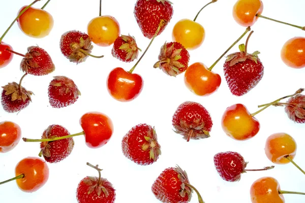 Fruits Colorés Lumineux Sur Fond Blanc — Photo