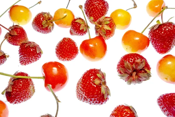 Fruits Colorés Lumineux Sur Fond Blanc — Photo