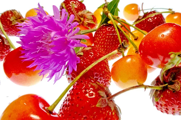 beyaz bir arka plan üzerinde parlak renkli meyve