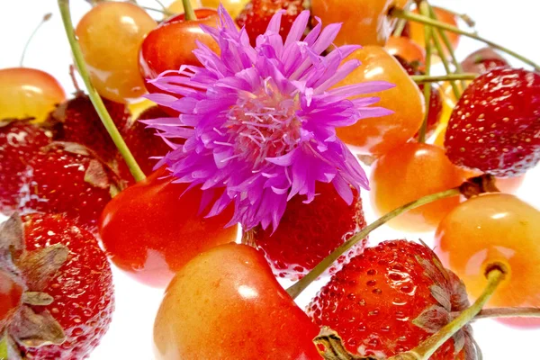 beyaz bir arka plan üzerinde parlak renkli meyve