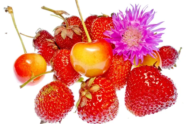 beyaz bir arka plan üzerinde parlak renkli meyve