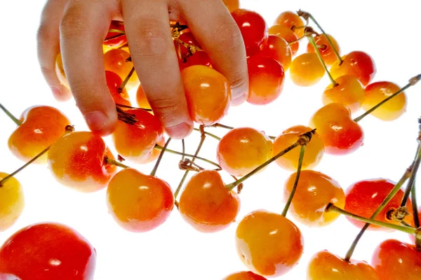 beyaz bir arka plan üzerinde parlak renkli meyve