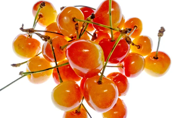 beyaz bir arka plan üzerinde parlak renkli meyve