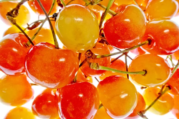 beyaz bir arka plan üzerinde parlak renkli meyve