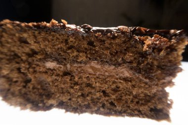 parlak renkli çiçek yaz