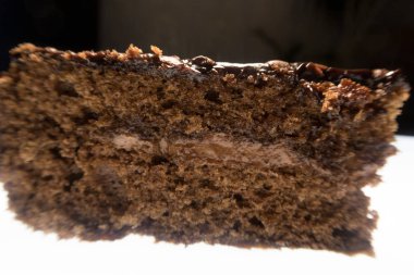 parlak renkli çiçek yaz