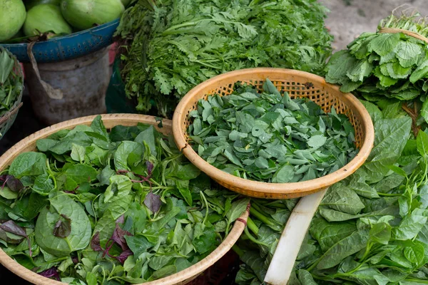 Woven baskets of assorted fresh green herbs — Stock Photo, Image