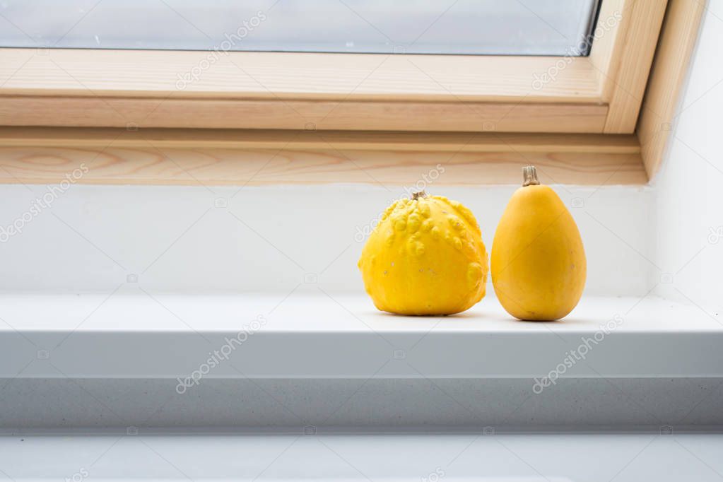 pumpkins on window sill