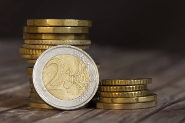 Euro coins portre