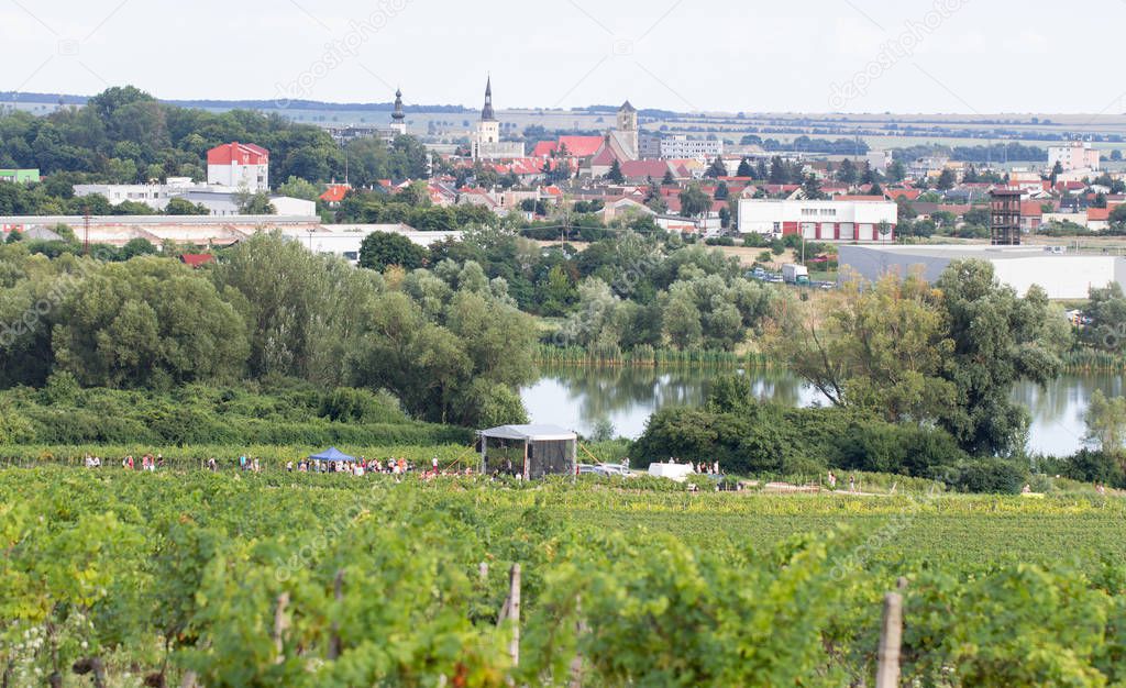 view of Pezinok town in Slovakia