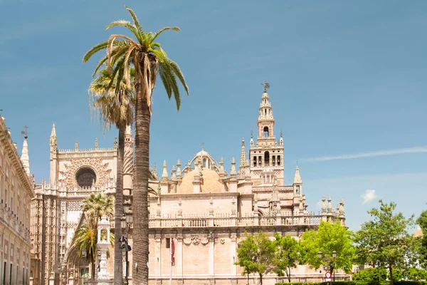 Catedral de Santa María, Catedral de Santa Maria de la Sede en Sevilla — Foto de Stock