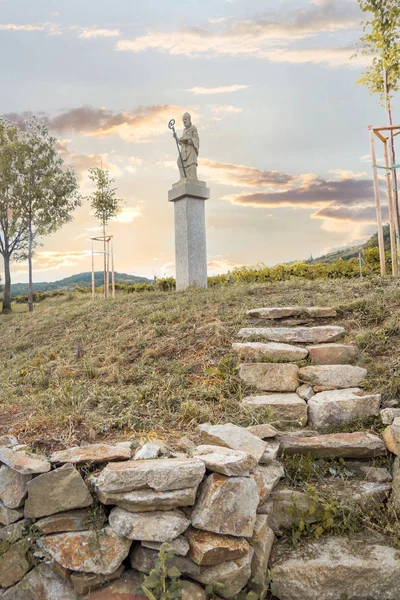 Estátua de santo Urbano em vinhedos Imagens De Bancos De Imagens