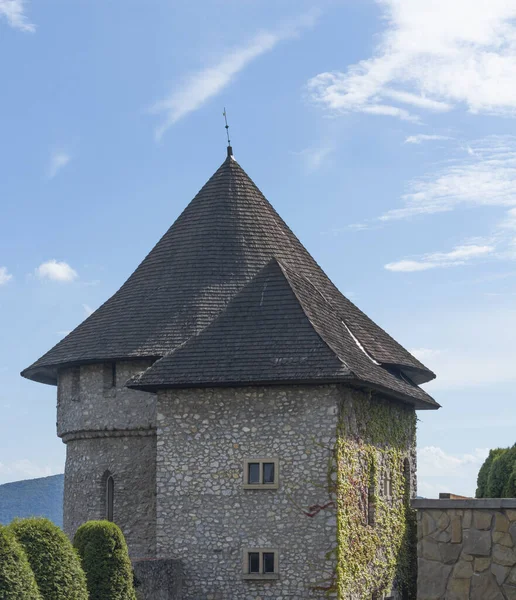 Tour de château avec ciel bleu — Photo