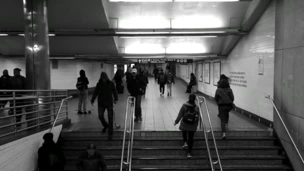 Metro Escadas Pessoas Multidão — Vídeo de Stock