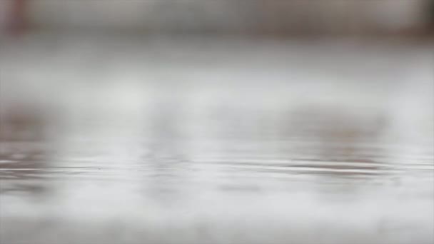 Pöl Vatten Regn Regndroppar — Stockvideo