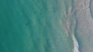 plaj sahil havadan görünümü Yüzme