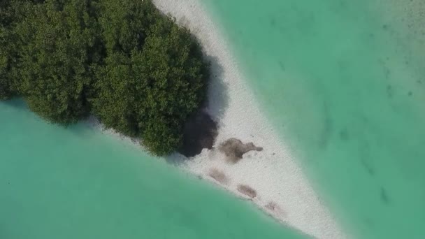 Пляжний Острів Тропічний Пісок Подорожі — стокове відео